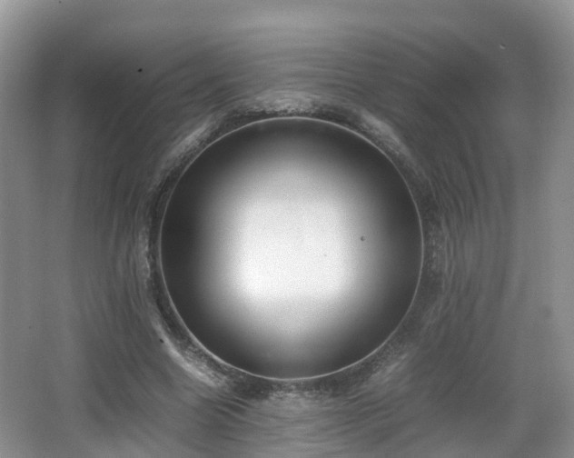 X0000067930538200604171437