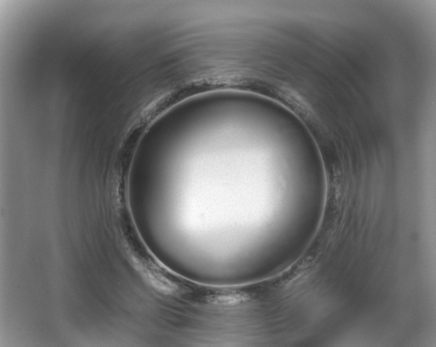 X0000067930542200604171437