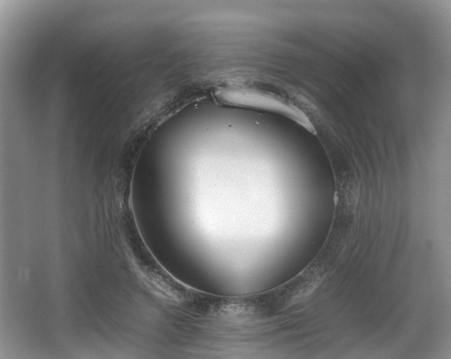 X0000067930546200604171437