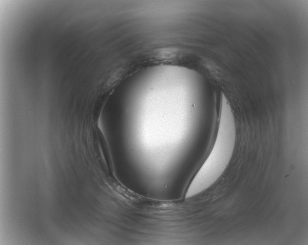 X0000067930562200604171437