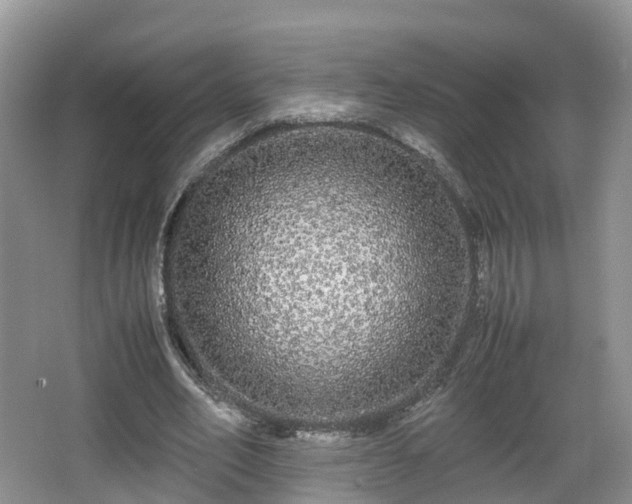 X0000067930582200604171437