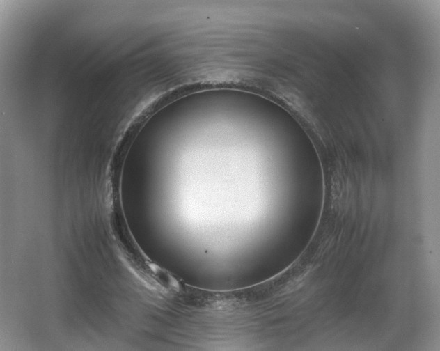 X0000067930584200604171437