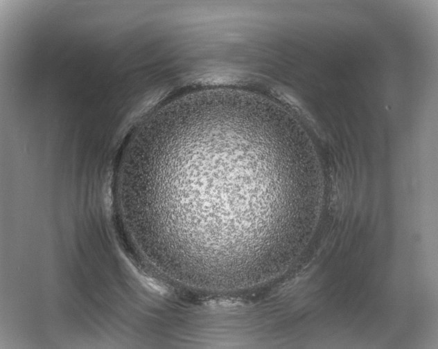 X0000067930586200604171437