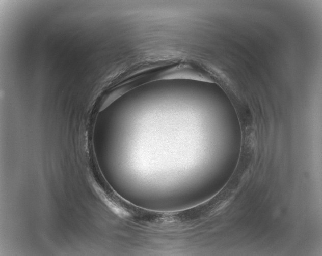 X0000067930589200604171437
