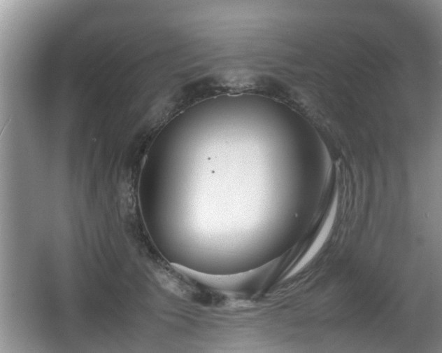 X0000067930609200604171436