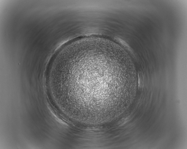 X0000067930627200604171435