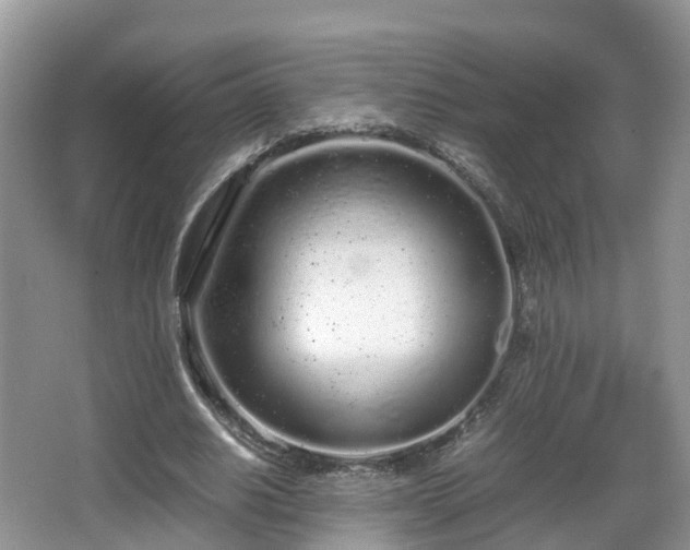 X0000067930630200604171435