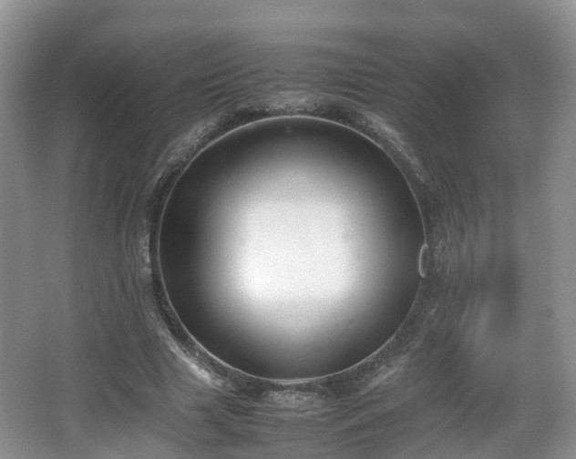 X0000067930633200604171435