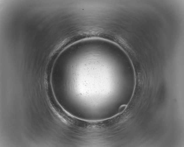 X0000067930634200604171435