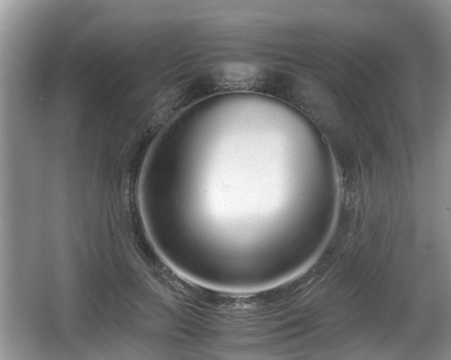 X0000067930647200604171436