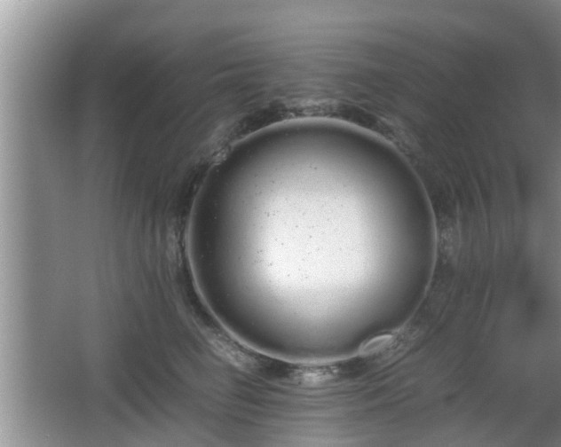 X0000067930662200604171436