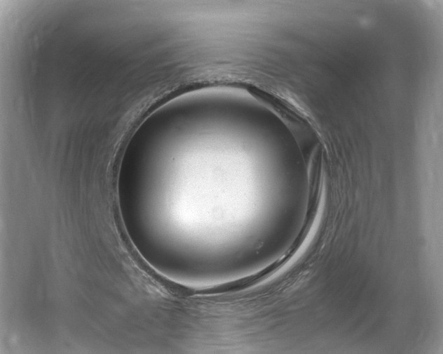 X0000067930673200604171435