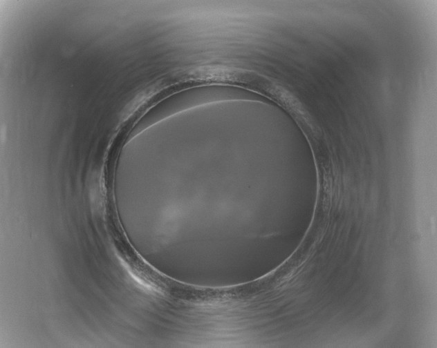 X0000067930674200604171435