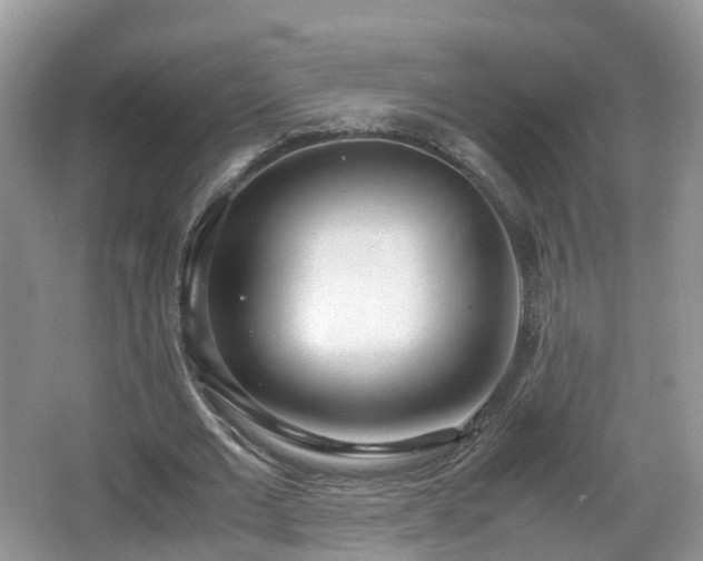 X0000067930677200604171435