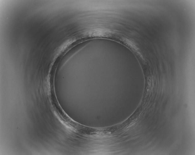 X0000067930678200604171435