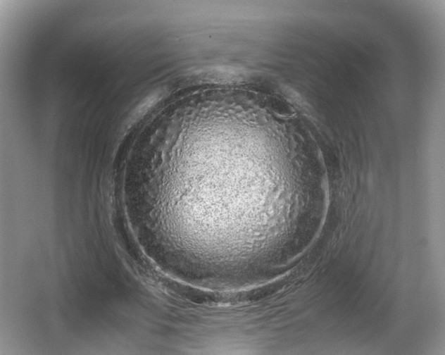 X0000067930679200604171435