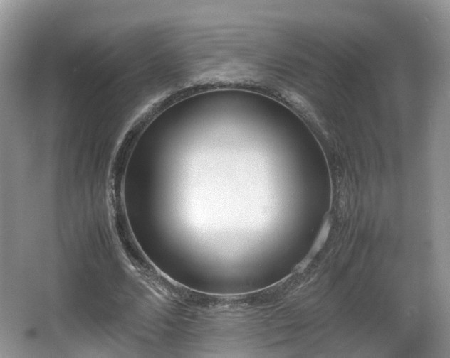 X0000067930680200604171435