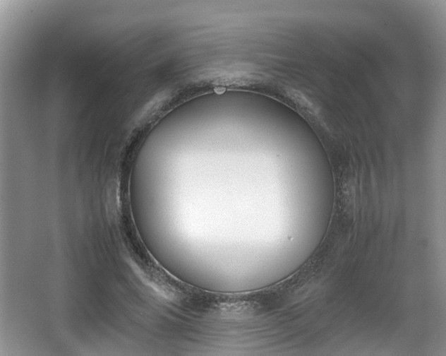 X0000067930686200604171435