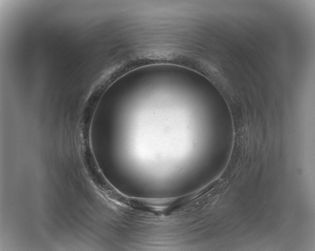 X0000067930688200604171435