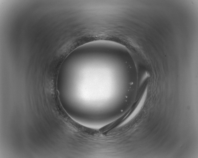 X0000067930689200604171435