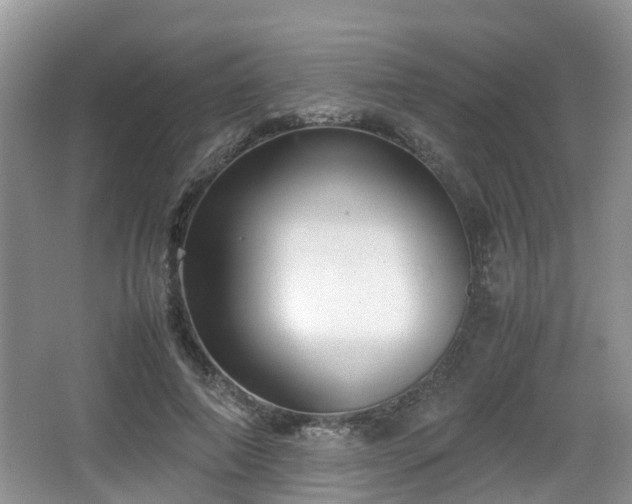 X0000067930690200604171435