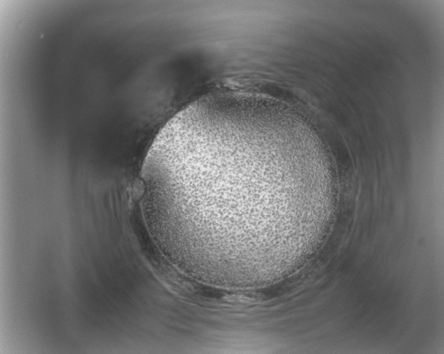 X0000067930703200604171435