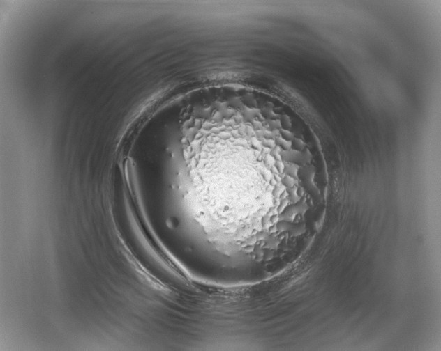 X0000067930725200604171434