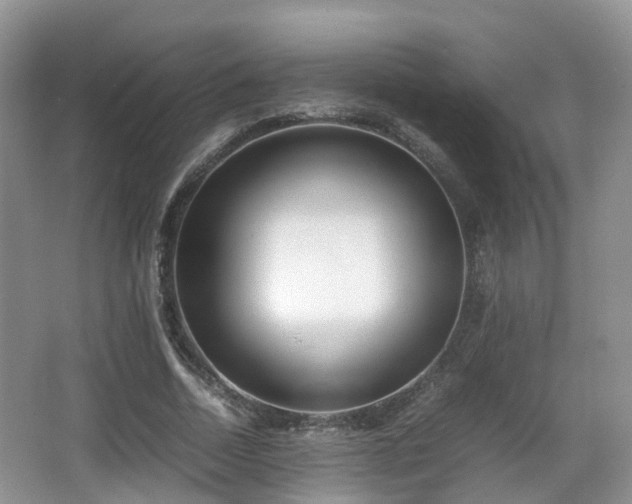 X0000067930730200604171434
