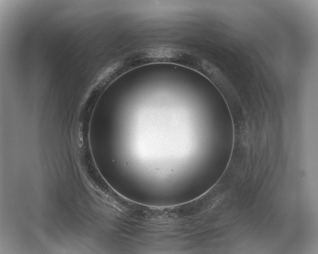 X0000067930731200604171434