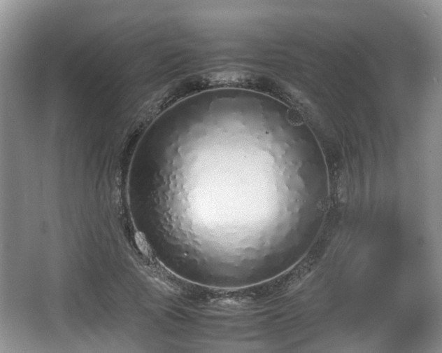X0000067930737200604171434