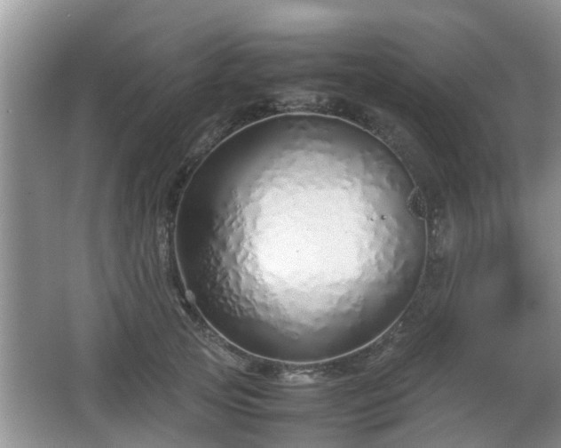 X0000067930753200604171434