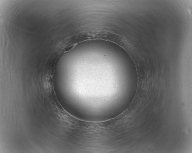 X0000067930770200604171434