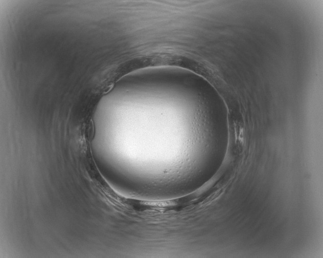 X0000067930771200604171434