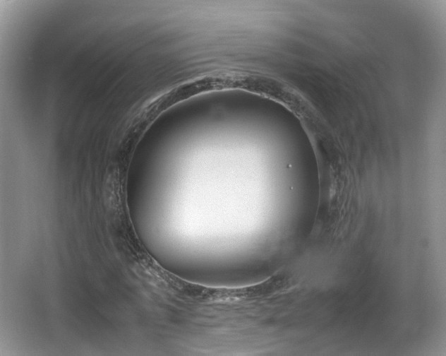 X0000067930773200604171433
