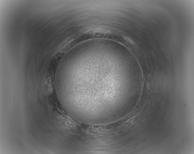 X0000067930774200604171433