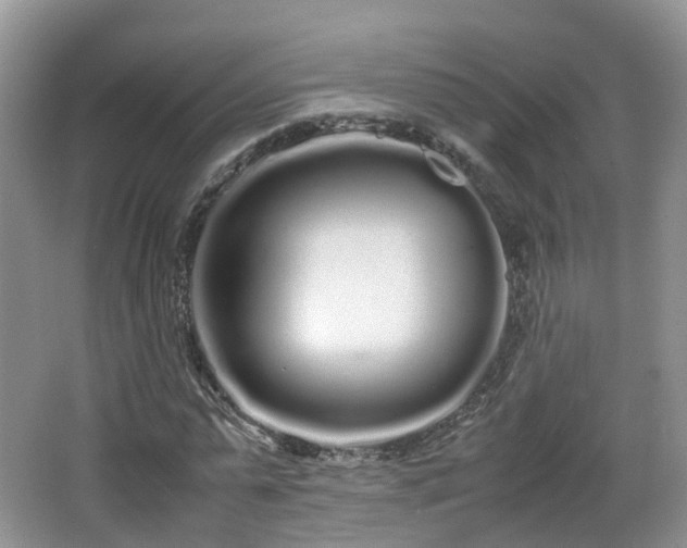 X0000067930775200604171433