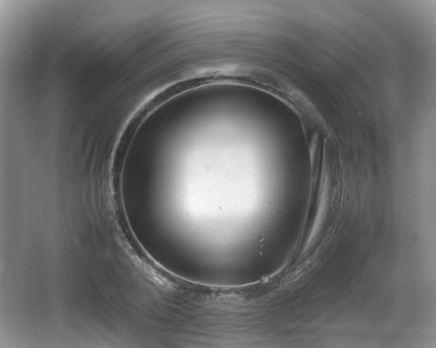 X0000067930784200604171433