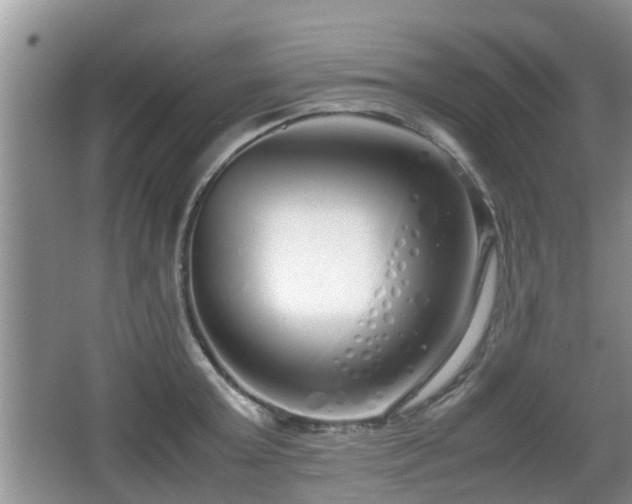 X0000067930803200604171433