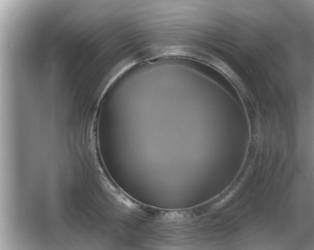 X0000067930806200604171433