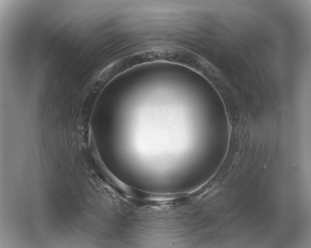 X0000067930822200604171432