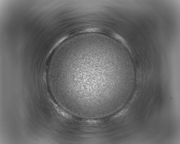 X0000067930827200604171432