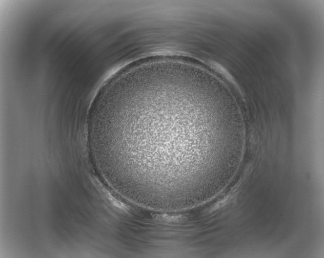 X0000067930831200604171432