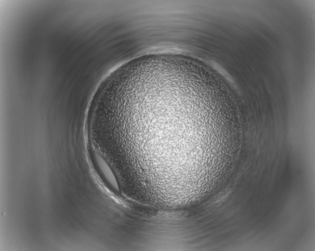 X0000067930840200604171432