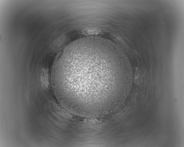 X0000067930866200604171432