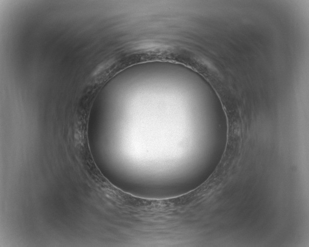 X0000067930869200604171432