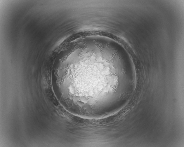 X0000067930871200604171432