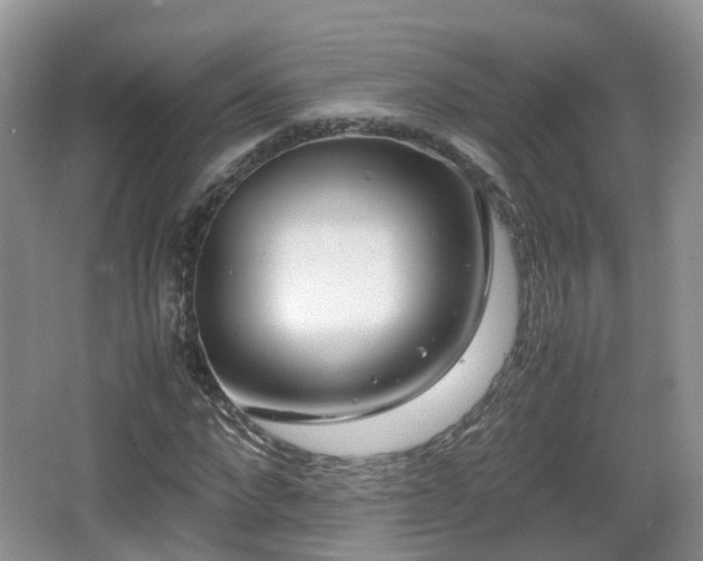 X0000067930872200604171432