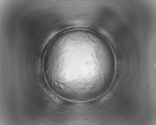 X0000067930875200604171432