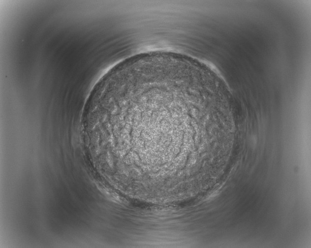 X0000067930879200604171432