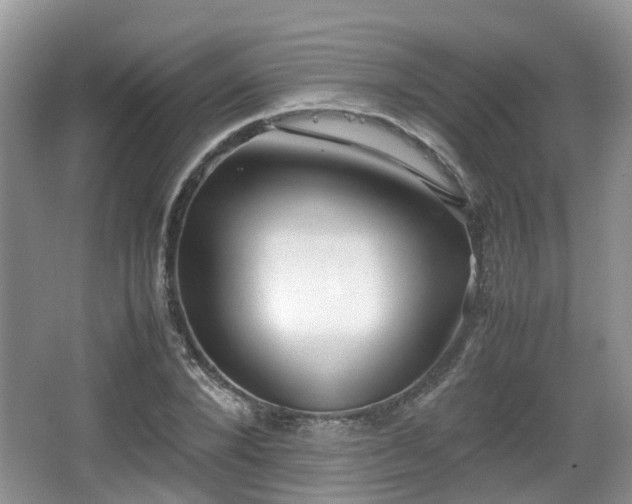 X0000067930880200604171432
